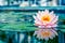 Santosha Smile Yoga