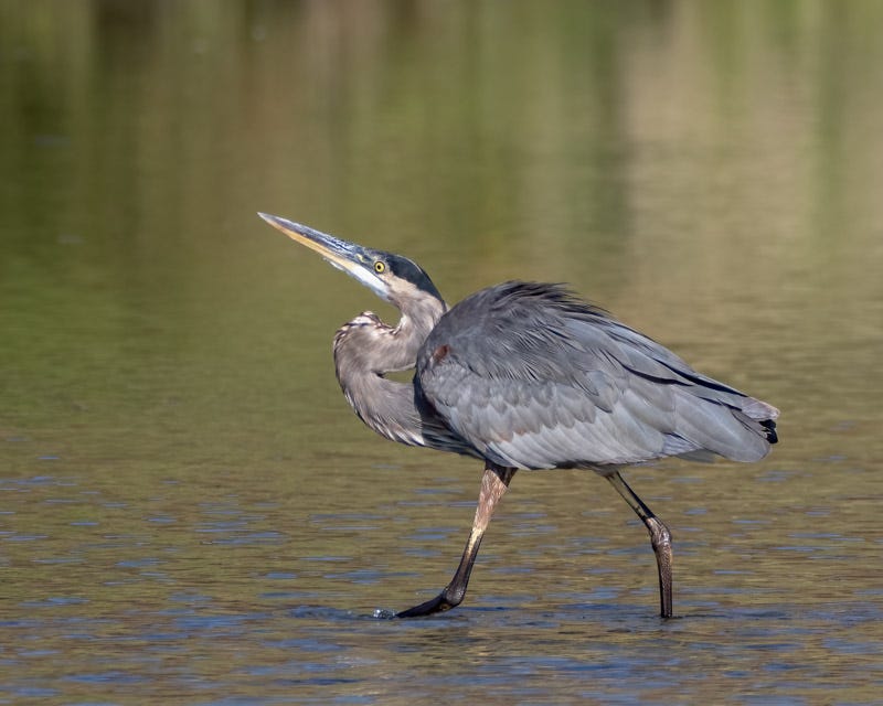 20250818-ElRio-358-Edit.jpg 20250818-ElRio-358-Edit.jpg