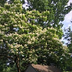 The Writer's Garden