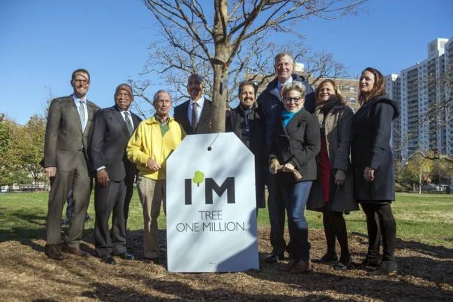 The City May Be In For a Million More Trees