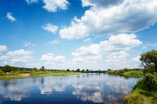 El Río Berezina Bielorrusia Foto de stock y más banco de imágenes de Agua -  Agua, Aire libre, Amarillo - Color - iStock