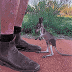 Top 15 Reasons Anthony Fauci Is In Jail RIGHT NOW. Tabs, Wed., June 5, 2024