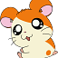 User's avatar