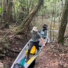 3 Days in the Amazon Rainforest