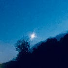 🪷 Delusion or Wisdom?