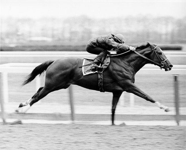Secretariat el caballo del siglo en EEUU