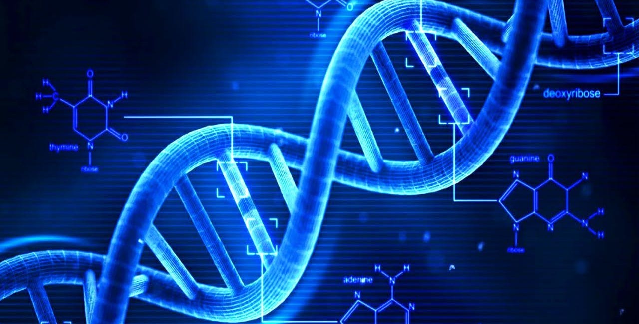 How Patent Law May Impact Our Concept of Human Sovereignty