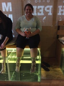 Fish pedicure Fish pedicure