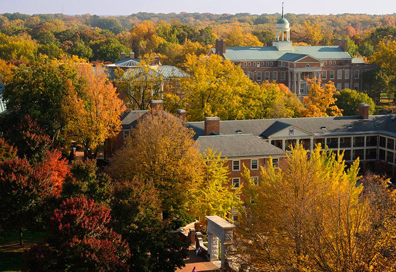 Wake Forest University campus in the fall.