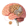 Ce n'est pas dans ma tête