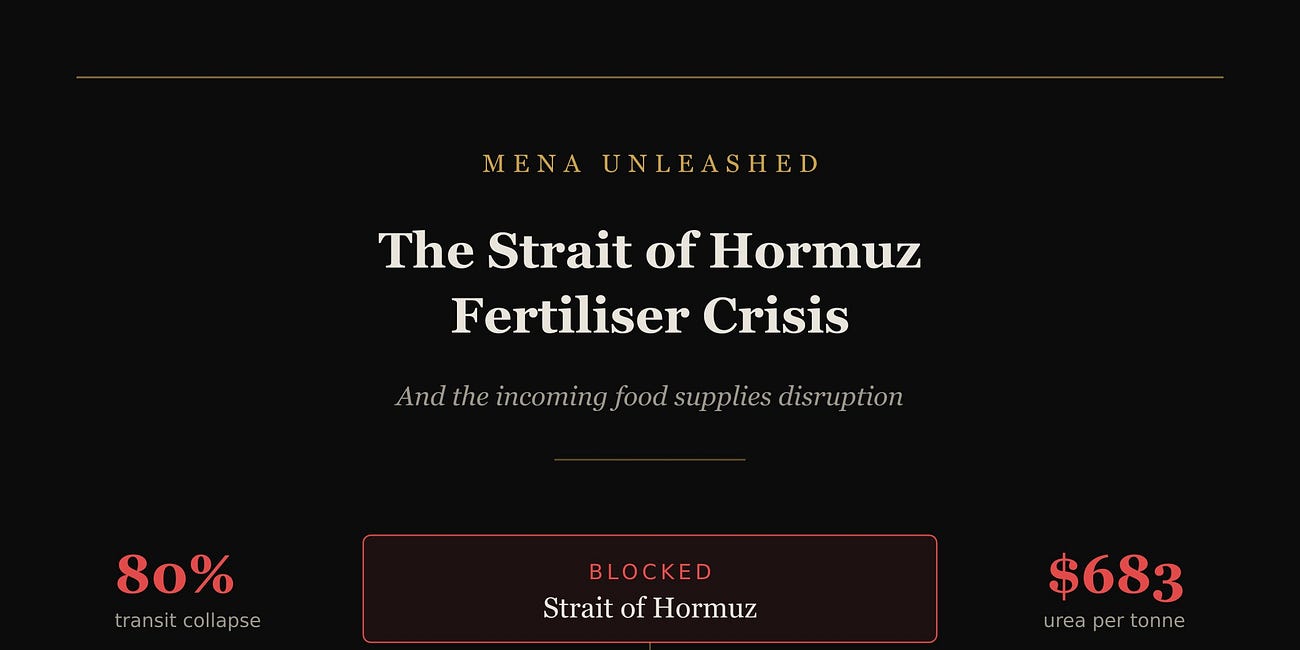 The Strait of Hormuz Fertiliser Crisis and Incoming Food Supplies Disruption