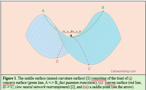 A graph of a graphing surface

AI-generated content may be incorrect.