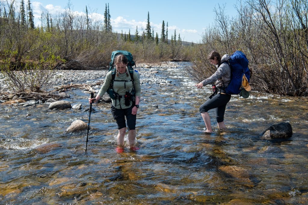 Two hikers with large backpacks wade across a shallow, clear stream over a cobbled bottom, one steadying with a trekking pole as the other steps from a rock, spruce and bare brush along the far bank.