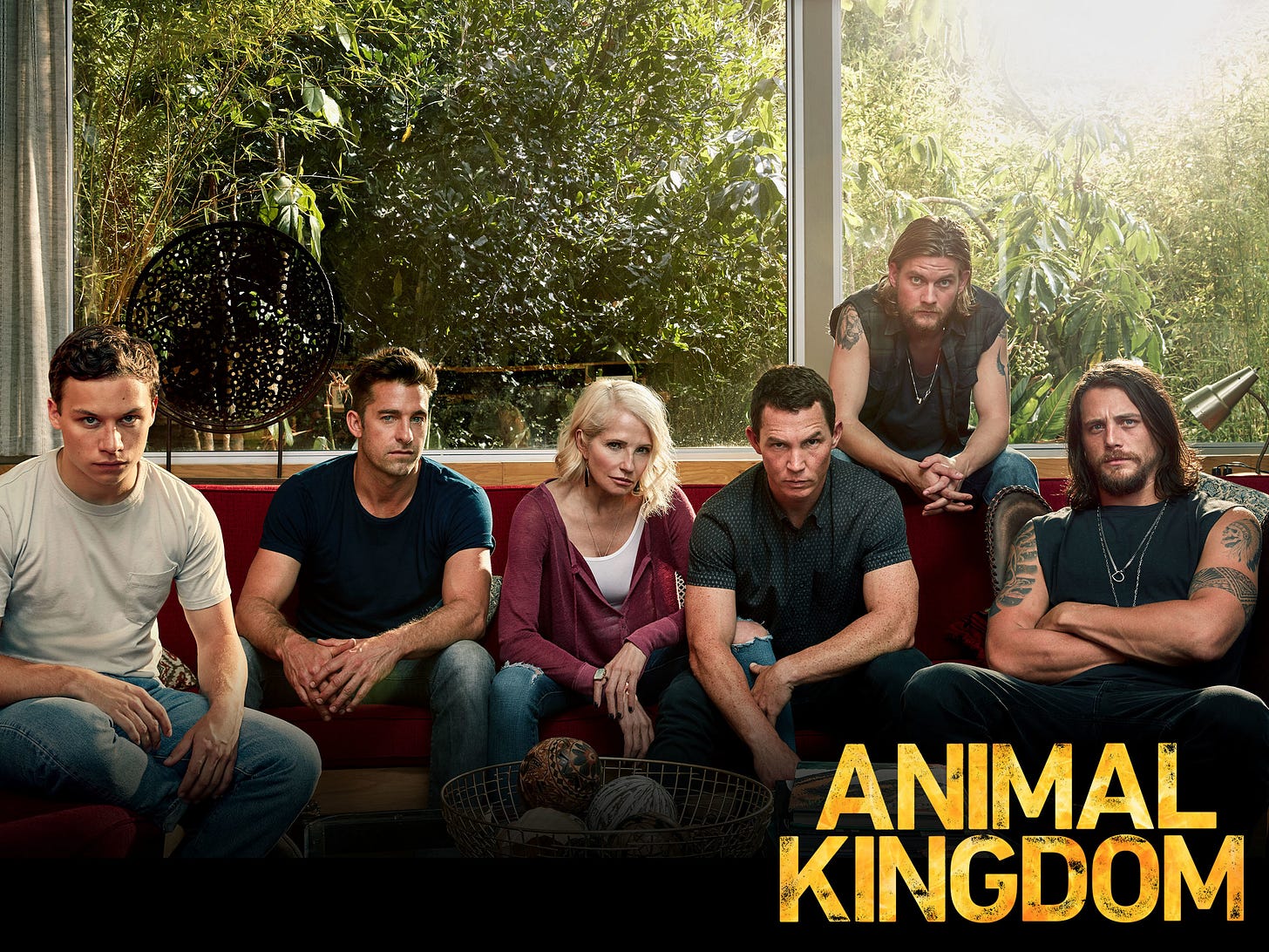 Watch Animal Kingdom: Season 2 | Prime Video