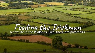 Feeding the Irishman