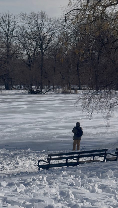 Images from Michael Stewart's run around Prospect Park Brooklyn, New York
