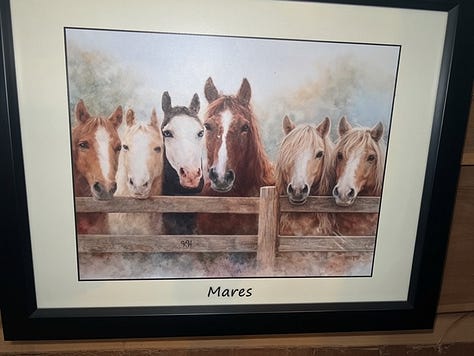 Paintings of horses by Krystal Hindman