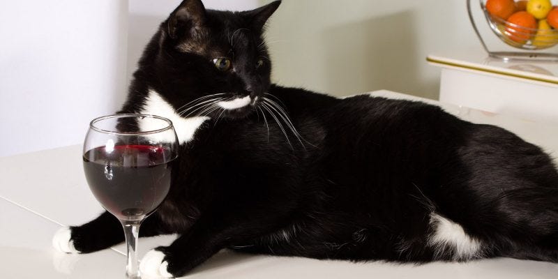 apollo peak cat wine apollo peak cat wine