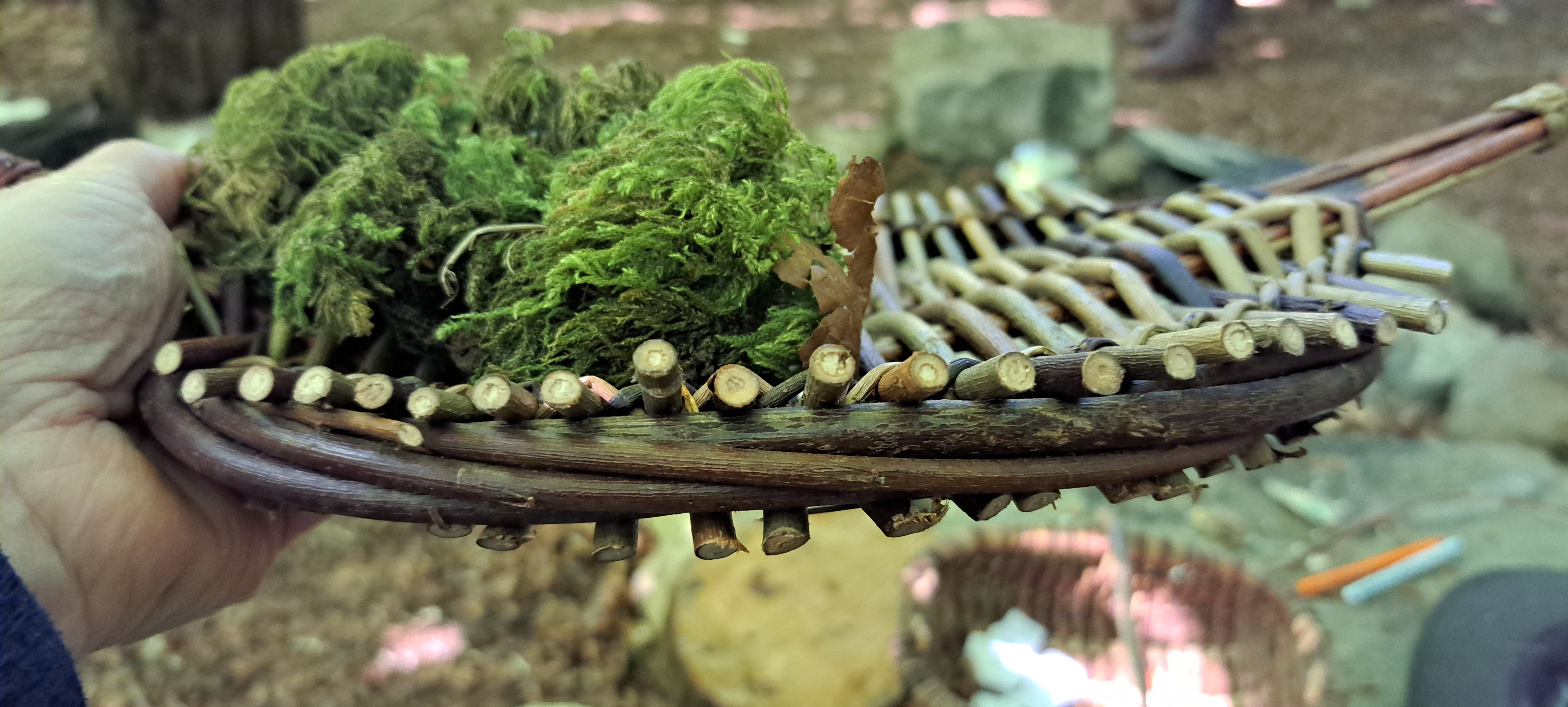 I hold a woven willow platter in my left hand, the image focuses on the structure of this vessel and the soft velvety green moss which has been collected and arranged on it.
