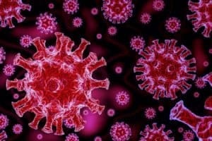 Covid virus. Pixabay