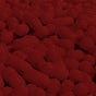 Red Medicine's avatar