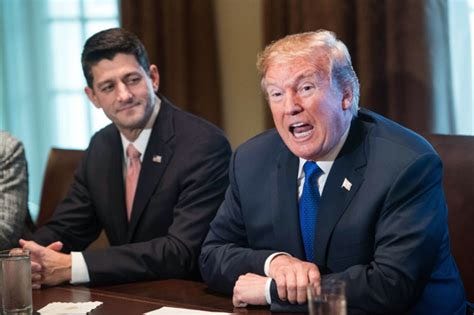 anncoulter.substack.com