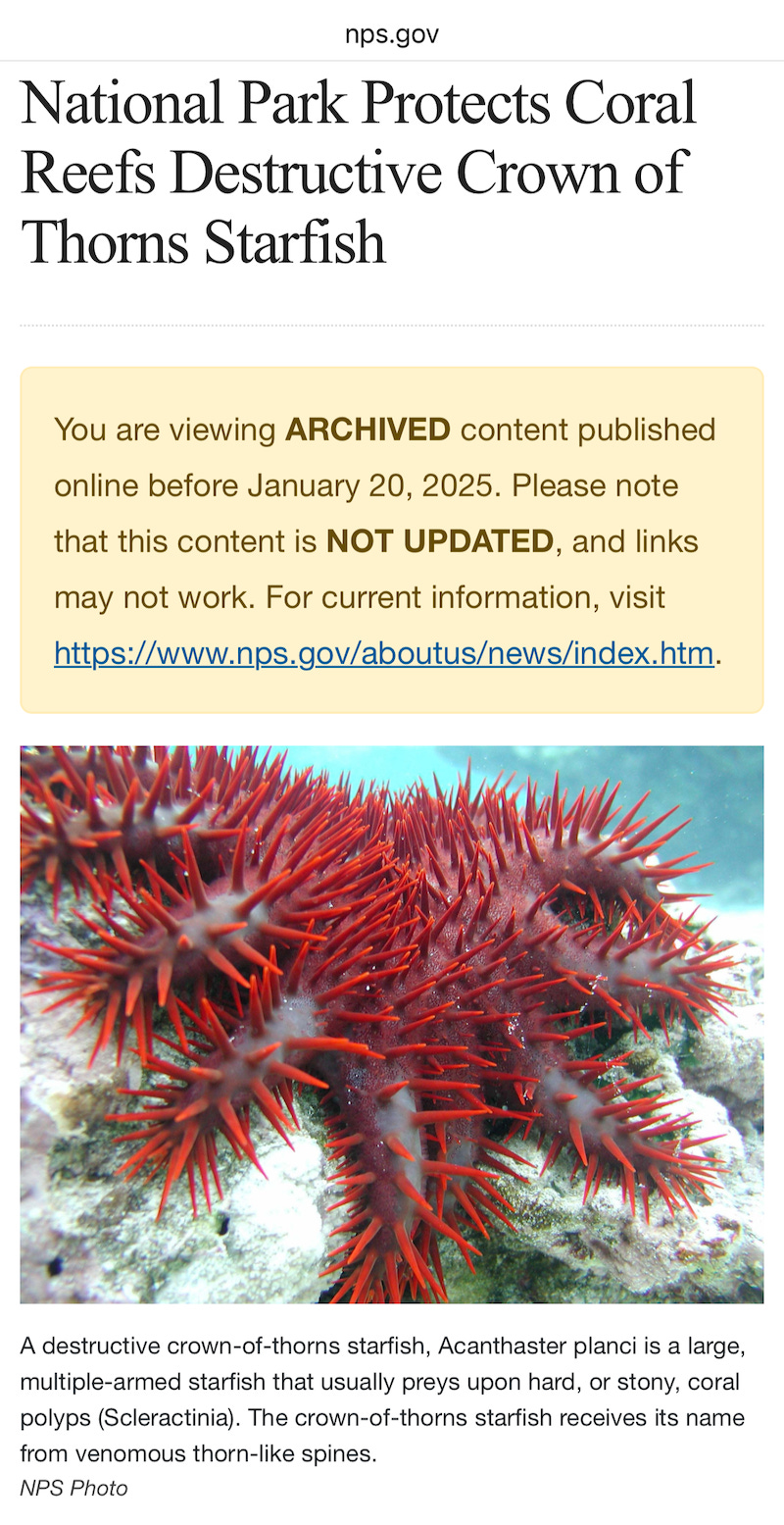 A screenshot of the National Park Service webpage about crown-of-thorns starfish with a disclaimer at the top saying "You are viewing ARCHIVED content published online before January 20, 2025. Please note that this content is NOT UPDATED, and links may not work."