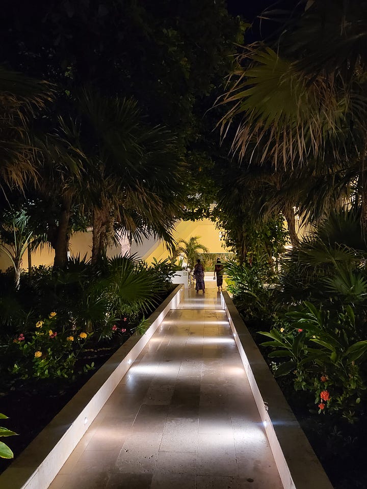 a coastal shore with a light house next to a shelf of macaroons, next too a beach, next a dimly lit walk walkway in the forest