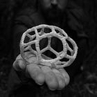 Shooting B&W: A Photo Story of Discovery