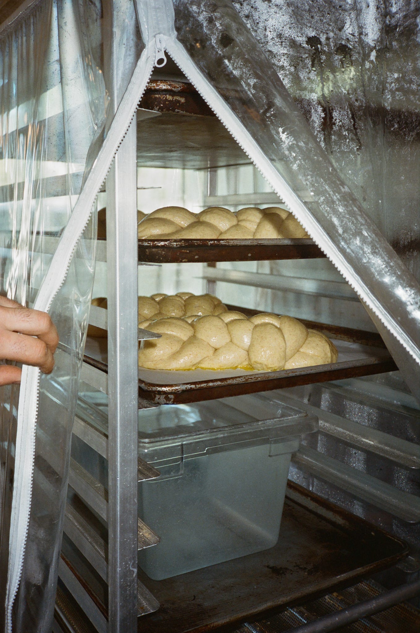 Challah loaves