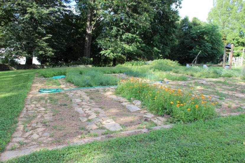 Stone mulch garden at Rodale Founders Farm