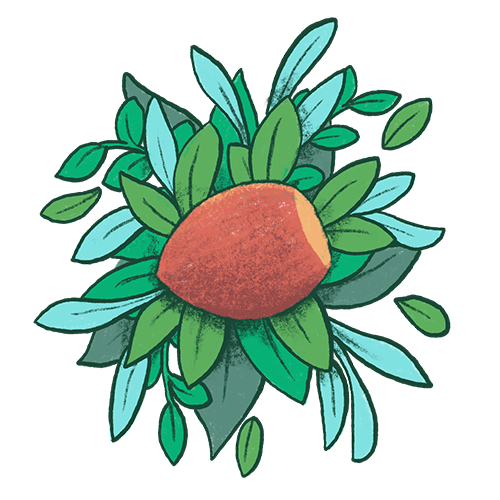 Hazelnut’s Substack