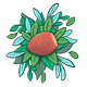 Hazelnut’s Substack