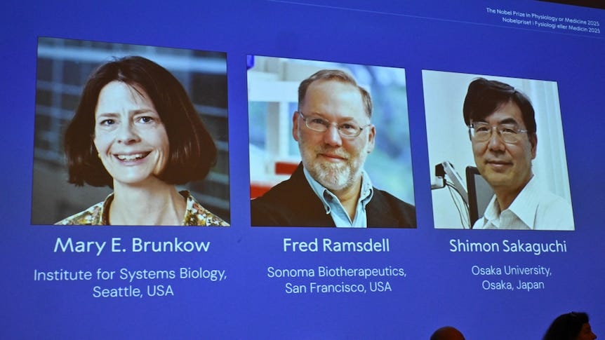 A PowerPoint showing the three scientists with their faces, biography and a headshot