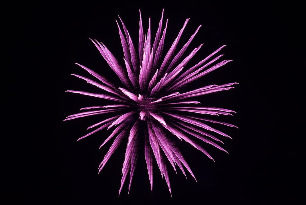 purple fireworks purple fireworks