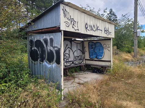 Graffiti on shops, building walls, trucks, underpasses and bus stops.