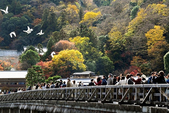 Kyoto, Hakone overrun with tourists despite new virus wave | The Asahi  Shimbun: Breaking News, Japan News and Analysis