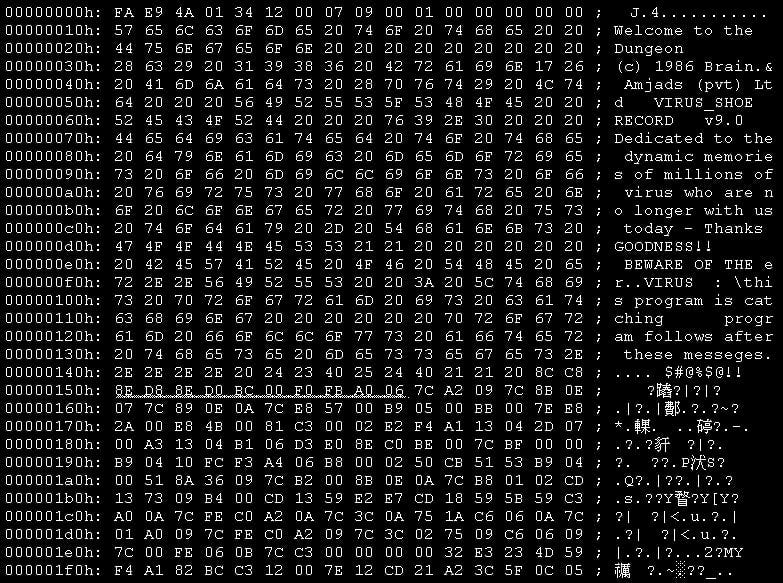 Computer Death Code Brain: The First PC Virus Epidemic Turns 40