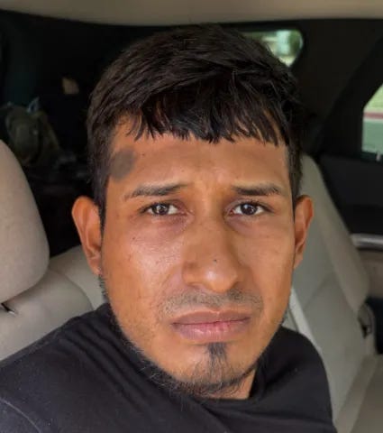 d5 d5