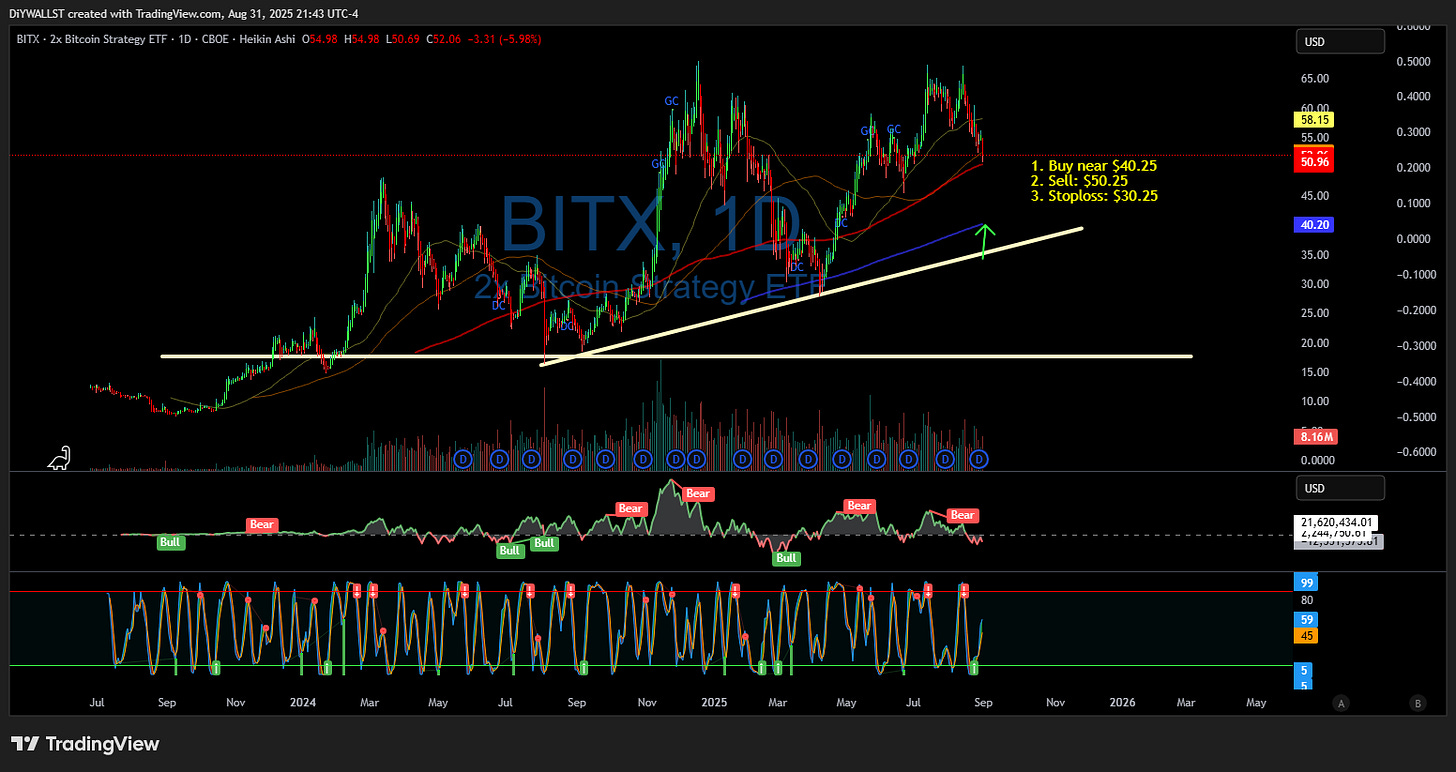 BATS:BITX Chart Image by DiYWALLST