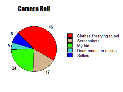 A pie chart labeled "Camera Roll" with sections labeled "Clothes I'm Trying to sell," "Screenshots" "my kid" "dead mouse in ceiling" and "selfies" A pie chart labeled "Camera Roll" with sections labeled "Clothes I'm Trying to sell," "Screenshots" "my kid" "dead mouse in ceiling" and "selfies"