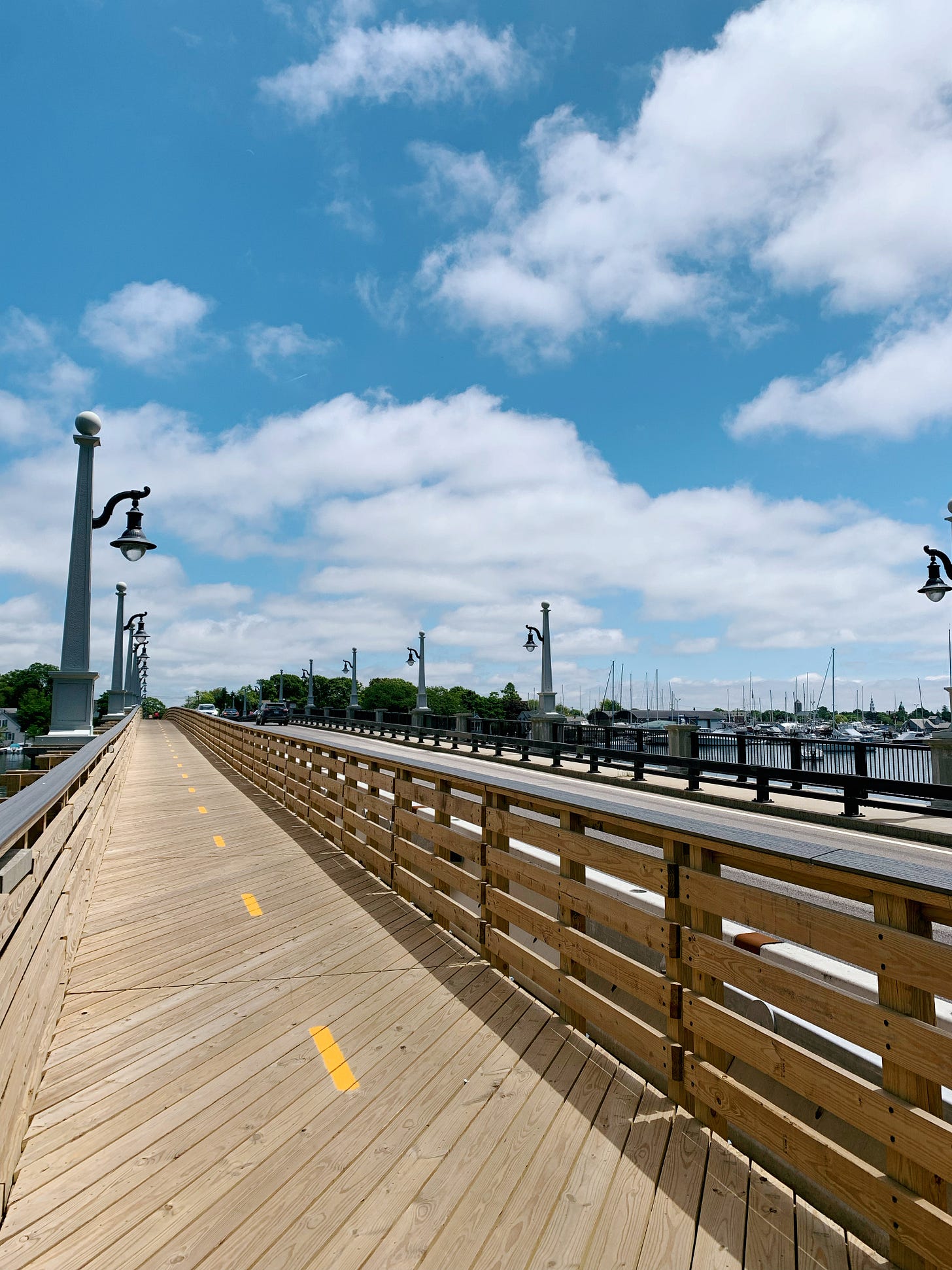Bridge with wooden bike path built into it