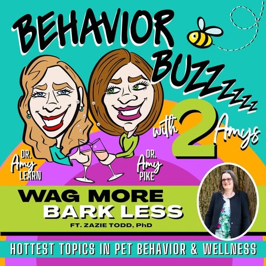 The image shows a drawing of the 2 Amys clinking a glass of champagne, with a bee buzzing around the name of the podcast. It also says wag more bark less ft Zazie Todd PhD with a photo of me. The colours are tropical bright green, orange, and pinks