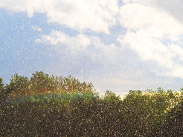 440+ Sunshower Stock Photos, Pictures & Royalty-Free Images - iStock |  Rain, Sunshine, Clouds