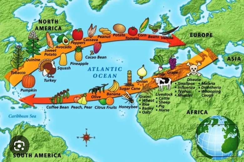 A map of the world with different foods

AI-generated content may be incorrect.