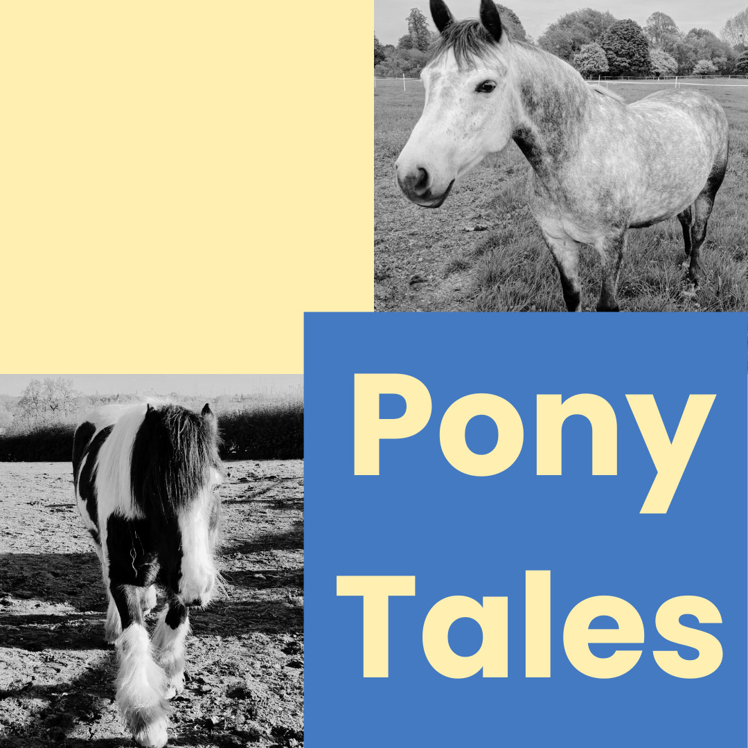 Pony Tales