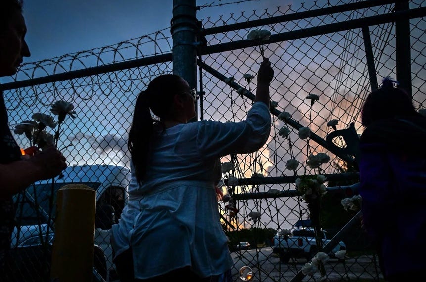 A person cutting flowers on a fence

AI-generated content may be incorrect.