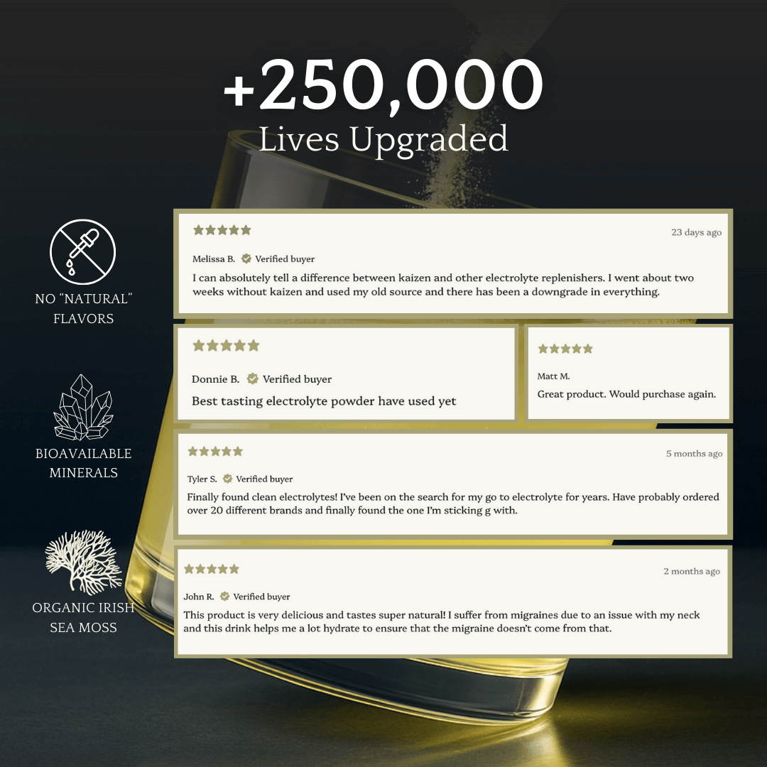 Kaizen Hydration | Best Tasting Premium Electrolyte Mix with Sea Moss and  Taurine