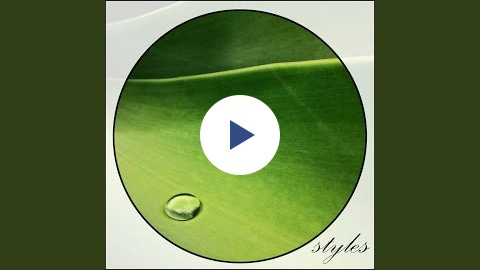 video preview video preview