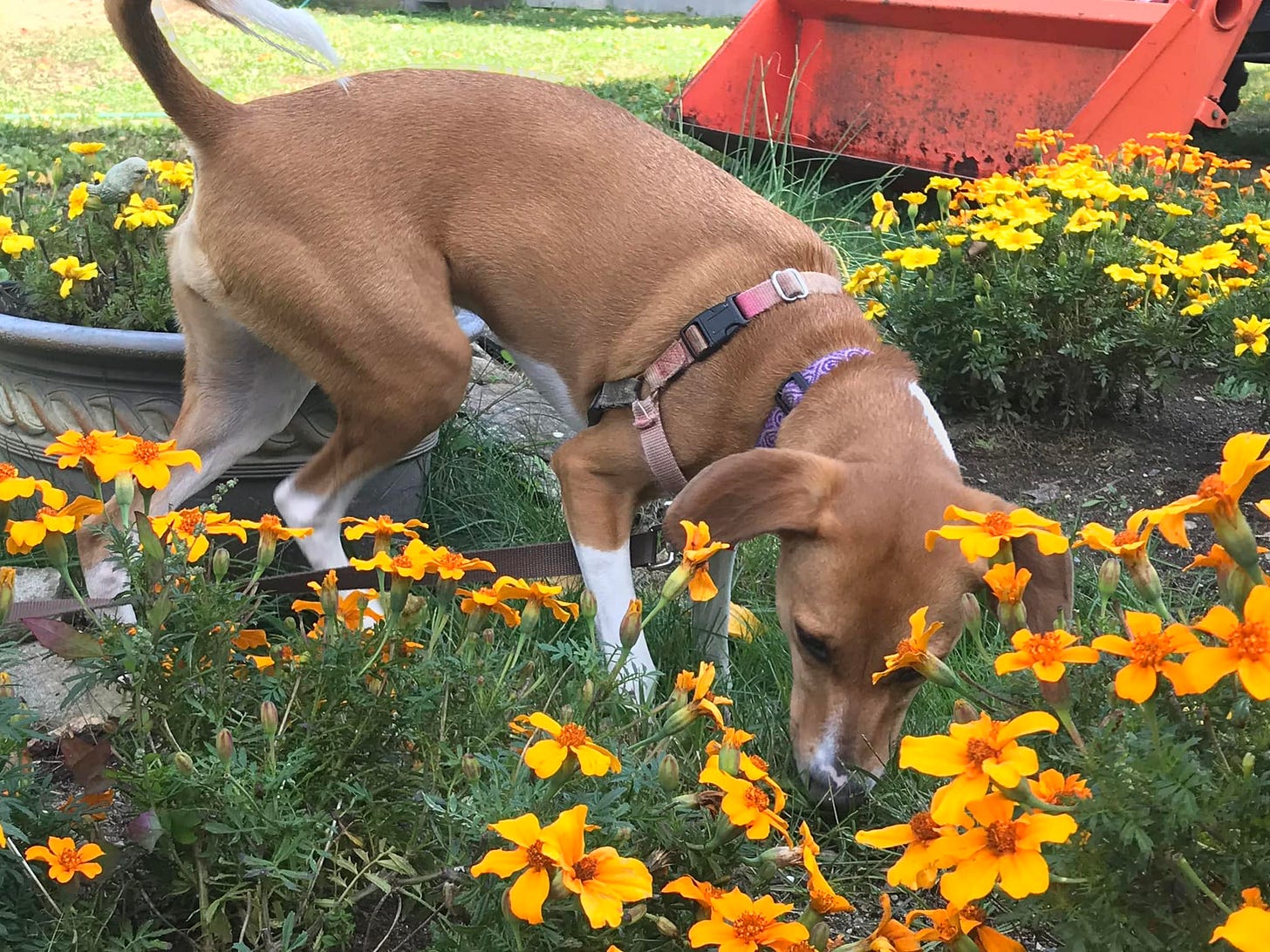 No photo description available. No photo description available.